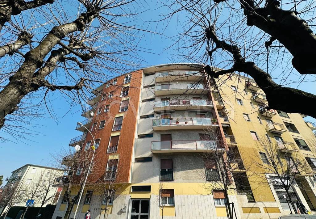 immagine annuncio 3 di 4