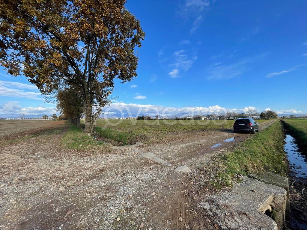 immagine annuncio 3 di 9