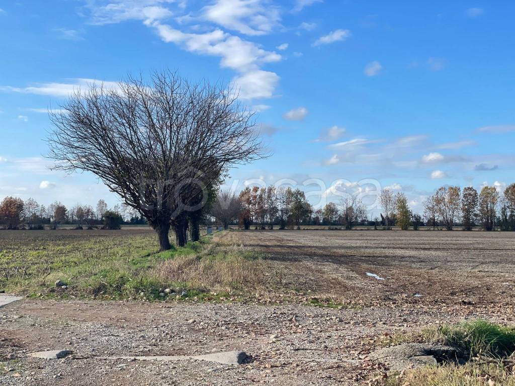 immagine annuncio 6 di 9