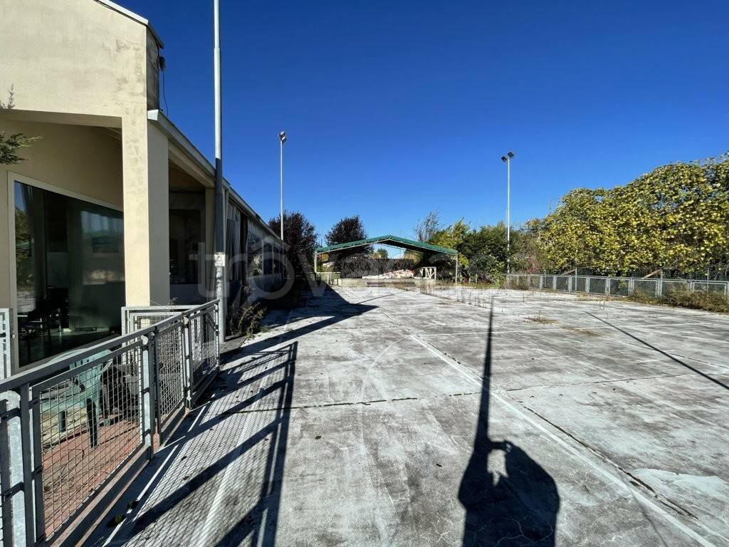 immagine annuncio 3 di 13