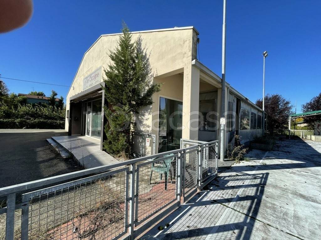 immagine annuncio 2 di 13