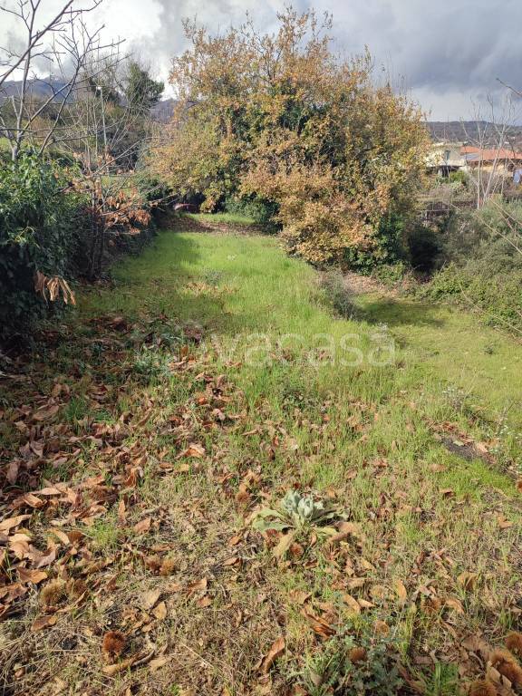 immagine annuncio 3 di 14