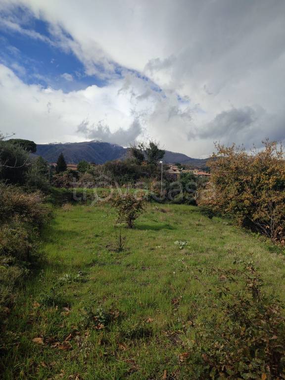 immagine annuncio 8 di 14