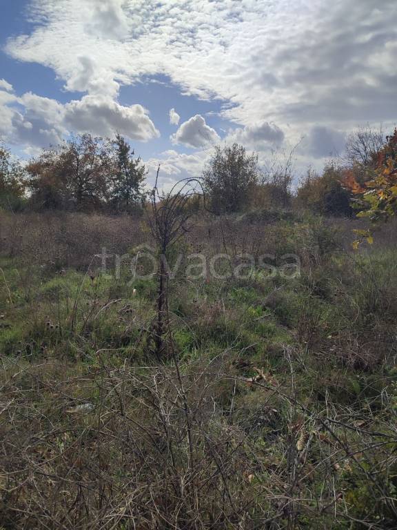 immagine annuncio 10 di 14