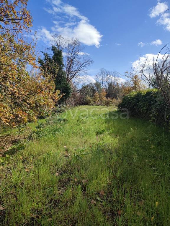 immagine annuncio 2 di 14