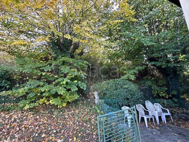 immagine annuncio 4 di 14