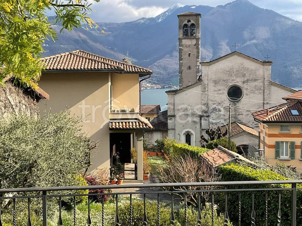 immagine annuncio 11 di 14