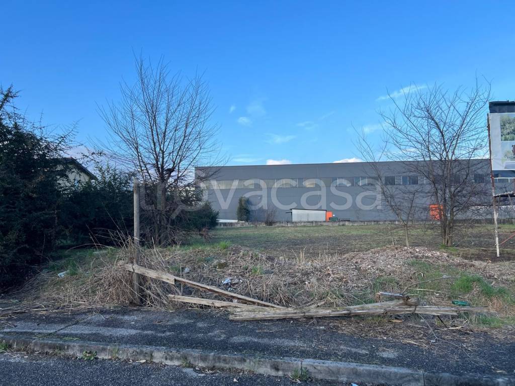 immagine annuncio 1 di 10