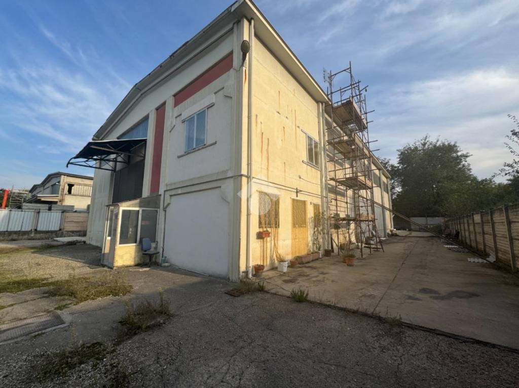 immagine annuncio 1 di 12