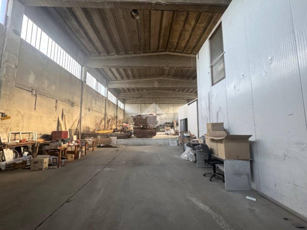 immagine annuncio 5 di 12