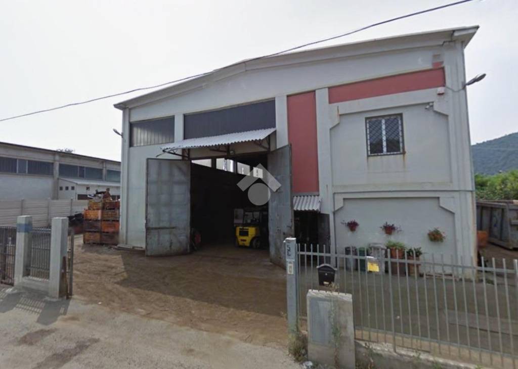 immagine annuncio 8 di 12