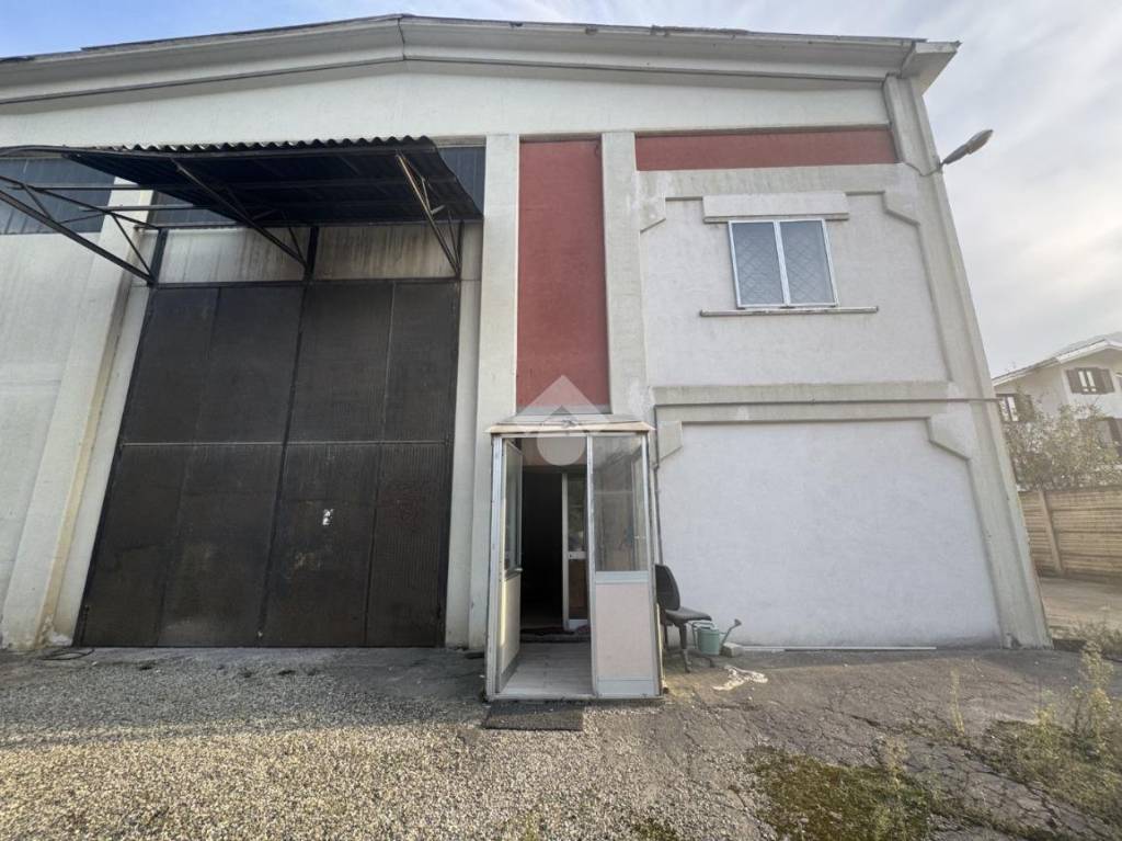 immagine annuncio 10 di 12