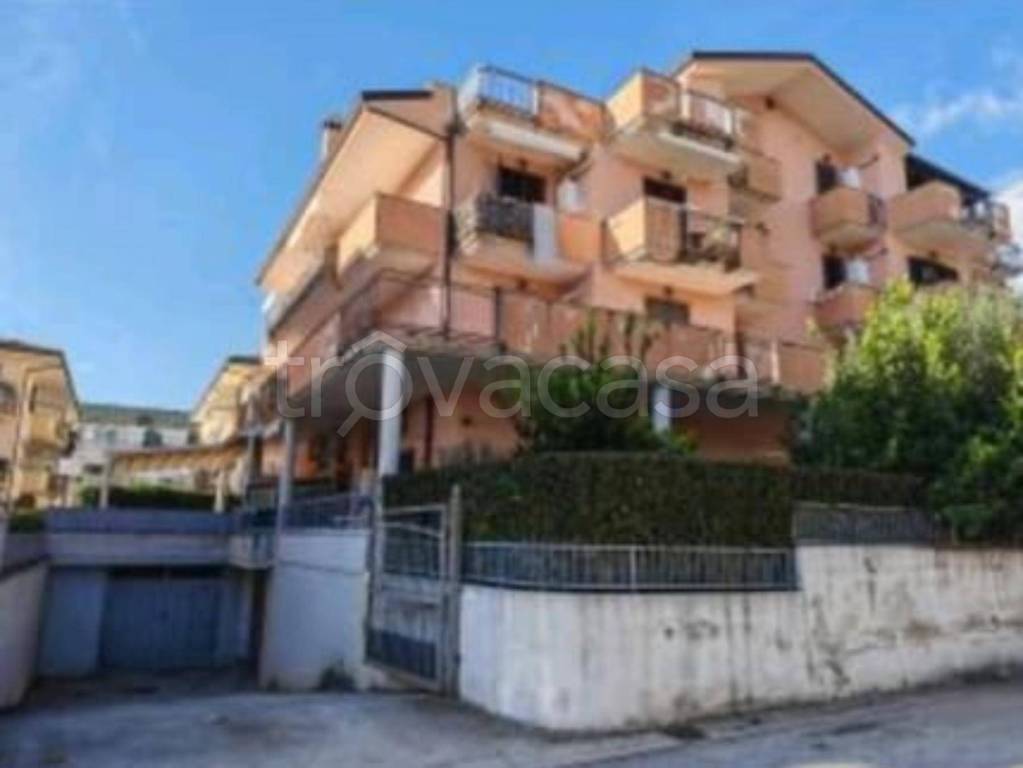 immagine annuncio 9 di 10