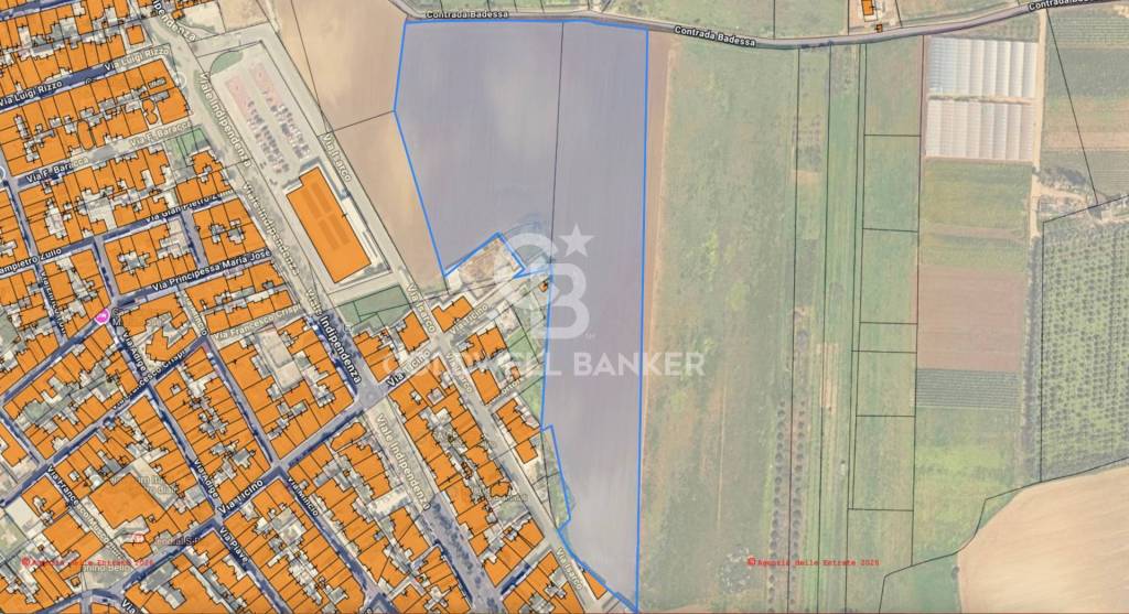 immagine annuncio 1 di 7