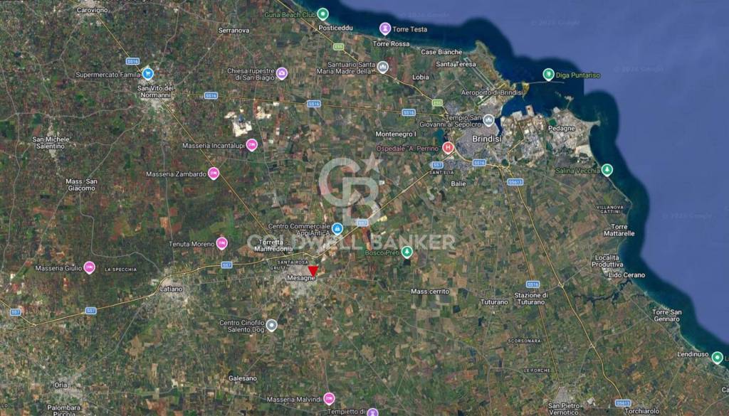 immagine annuncio 6 di 7