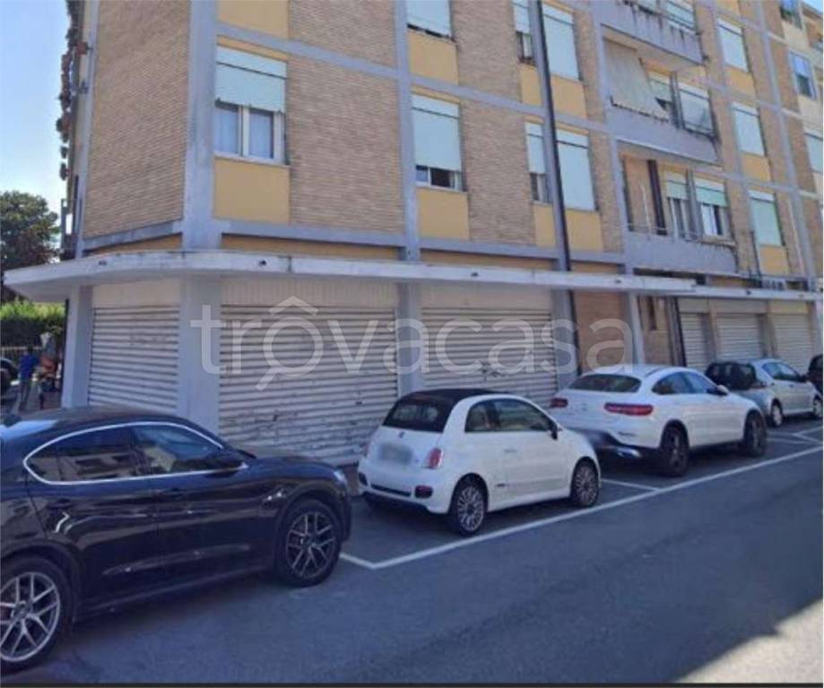 immagine annuncio 7 di 13