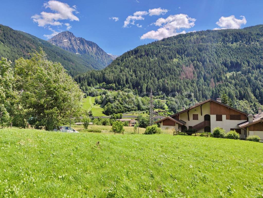 immagine annuncio 3 di 10