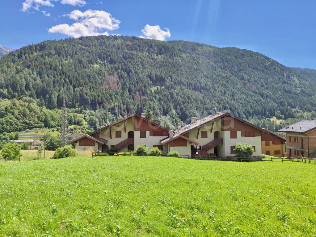 immagine annuncio 2 di 10