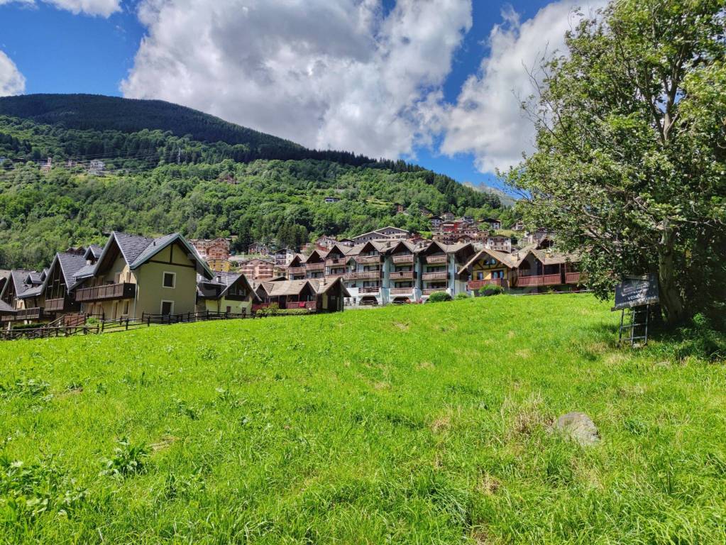 immagine annuncio 1 di 10