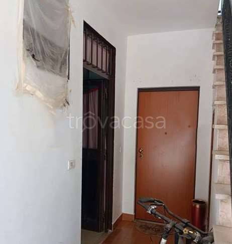 immagine annuncio 8 di 14