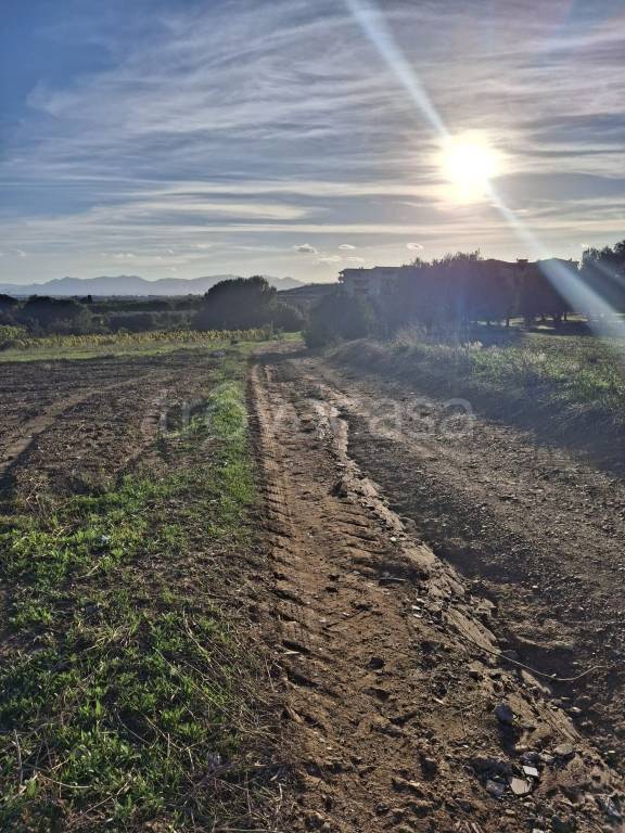 immagine annuncio 3 di 14