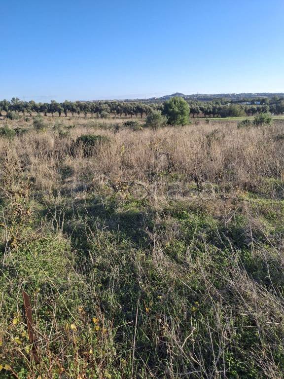 immagine annuncio 11 di 14