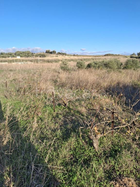 immagine annuncio 12 di 14