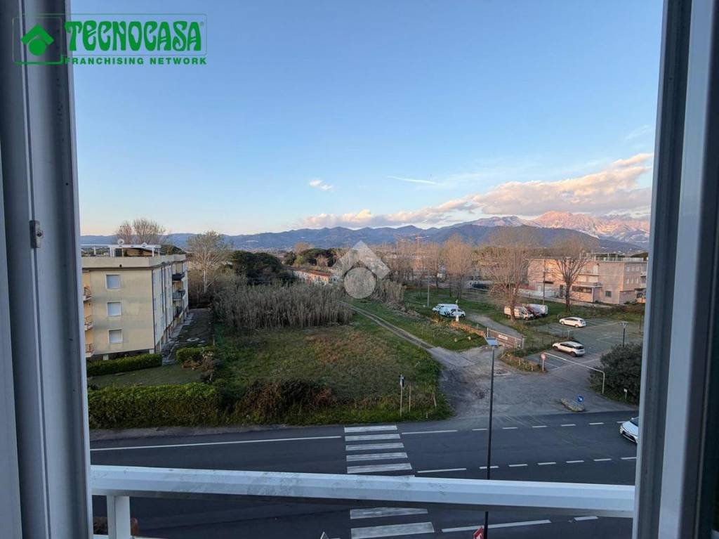 immagine annuncio 5 di 8