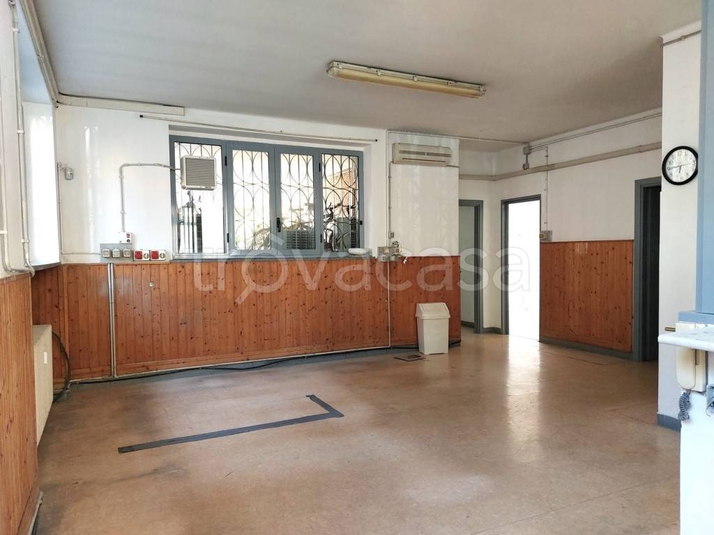 immagine annuncio 3 di 14