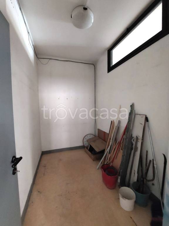 immagine annuncio 9 di 14