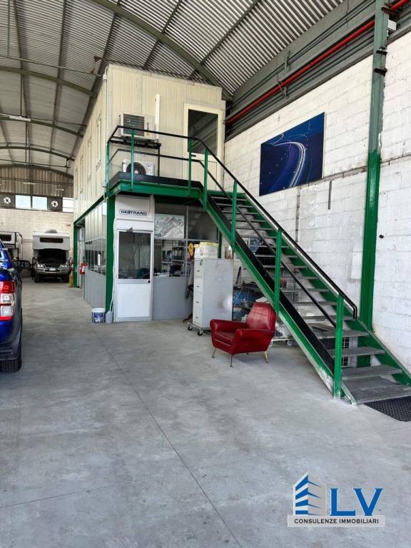 immagine annuncio 4 di 7