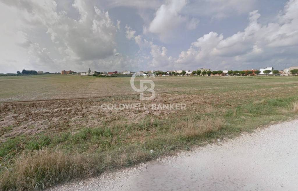 immagine annuncio 4 di 7