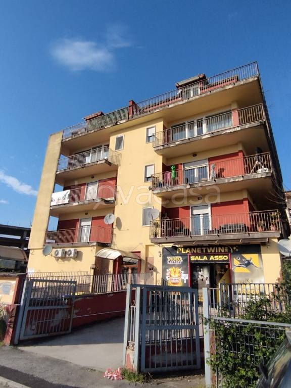 immagine annuncio 1 di 8