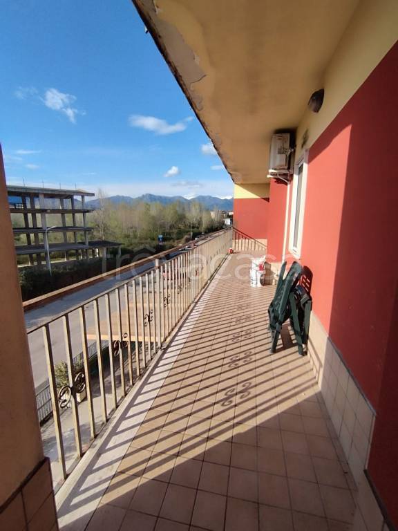 immagine annuncio 6 di 8