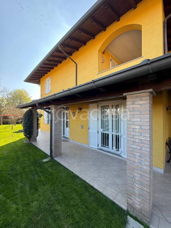 immagine annuncio 5 di 15