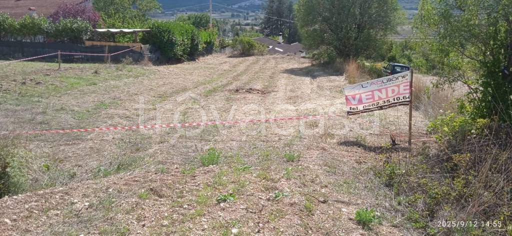 immagine annuncio 1 di 6