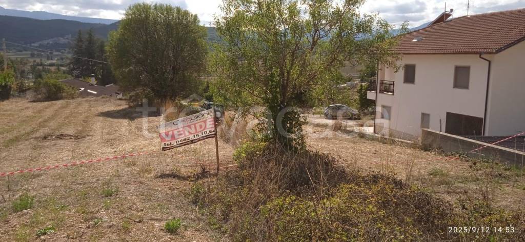 immagine annuncio 2 di 6