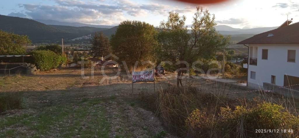 immagine annuncio 3 di 6