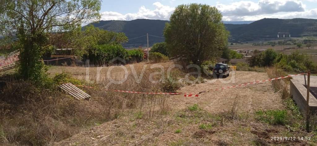 immagine annuncio 4 di 6