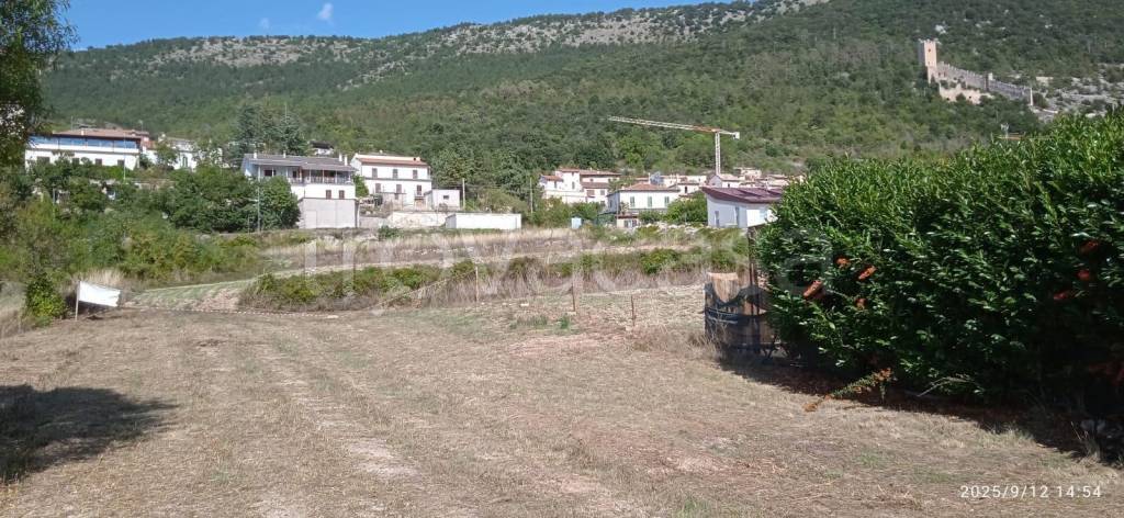 immagine annuncio 5 di 6