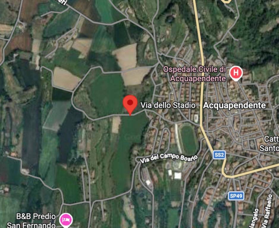 immagine annuncio 9 di 10