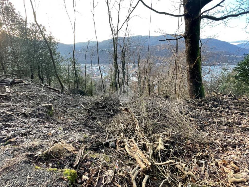 immagine annuncio 1 di 6