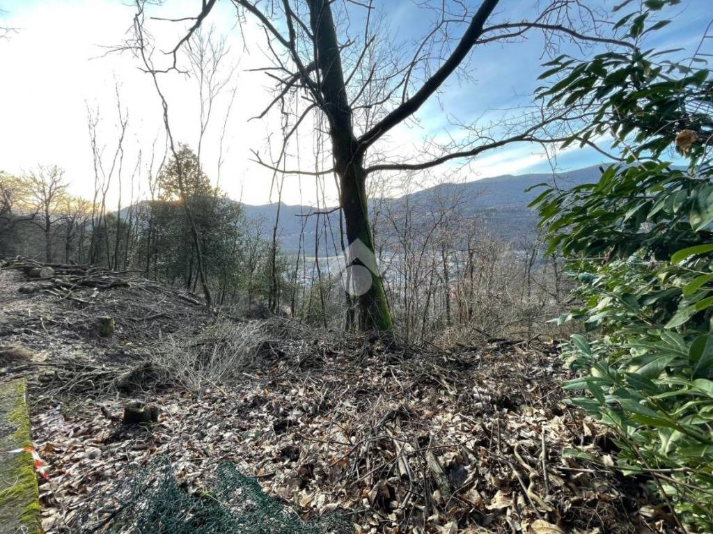 immagine annuncio 3 di 6