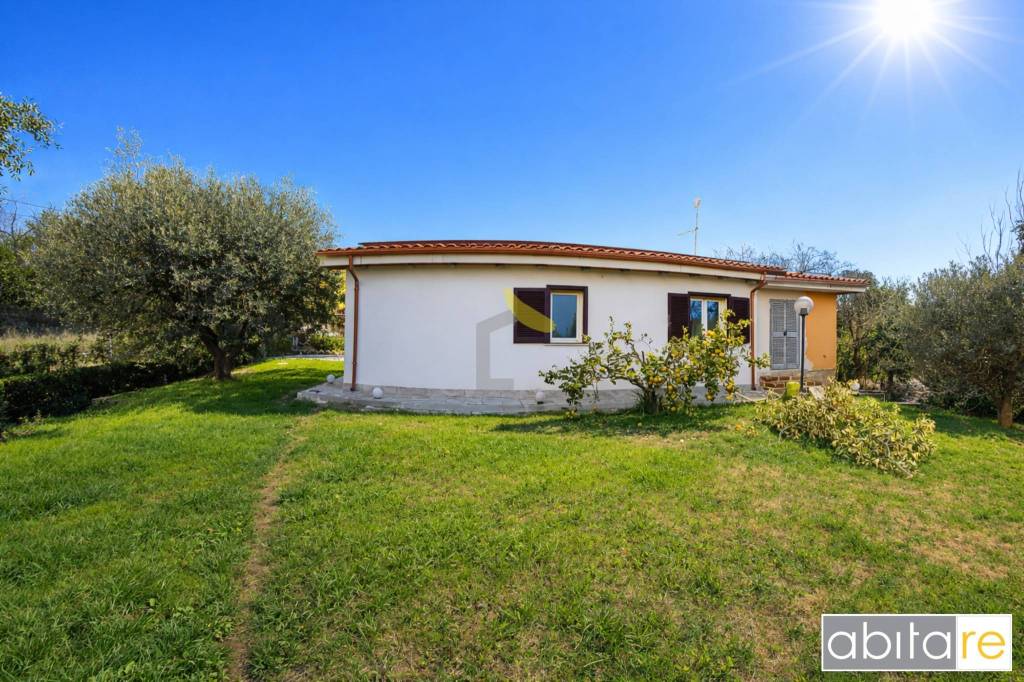 immagine annuncio 12 di 14