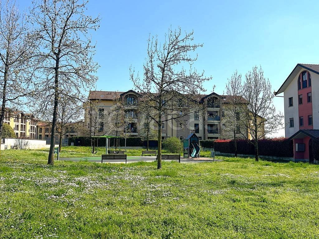 immagine annuncio 1 di 15