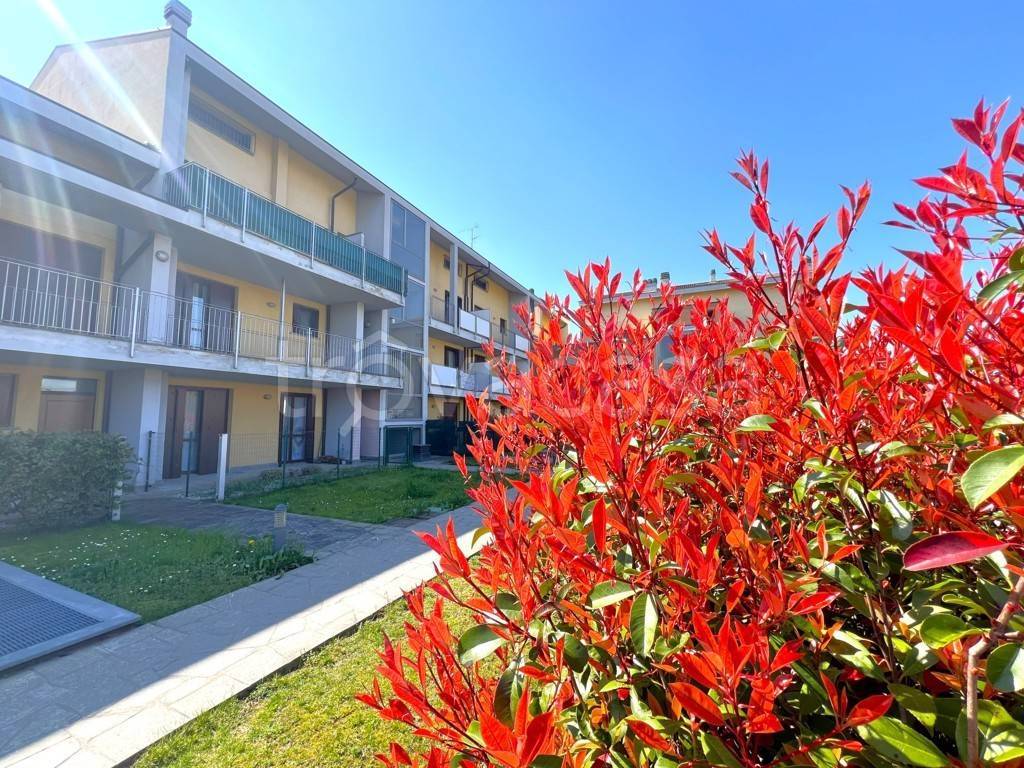 immagine annuncio 7 di 15