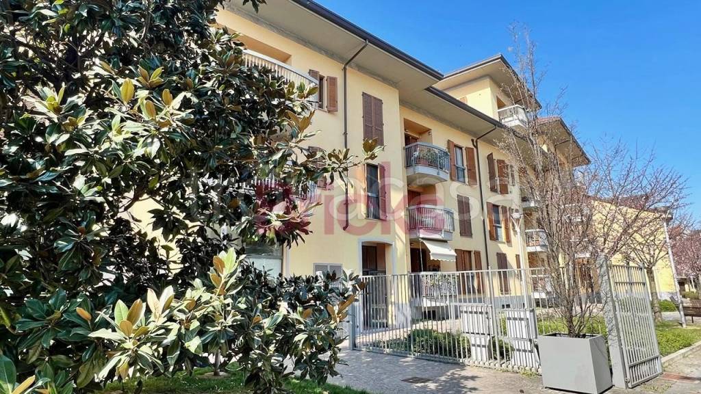 immagine annuncio 14 di 15