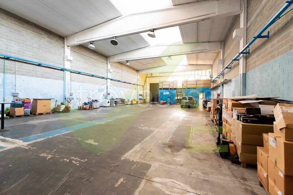 immagine annuncio 6 di 15