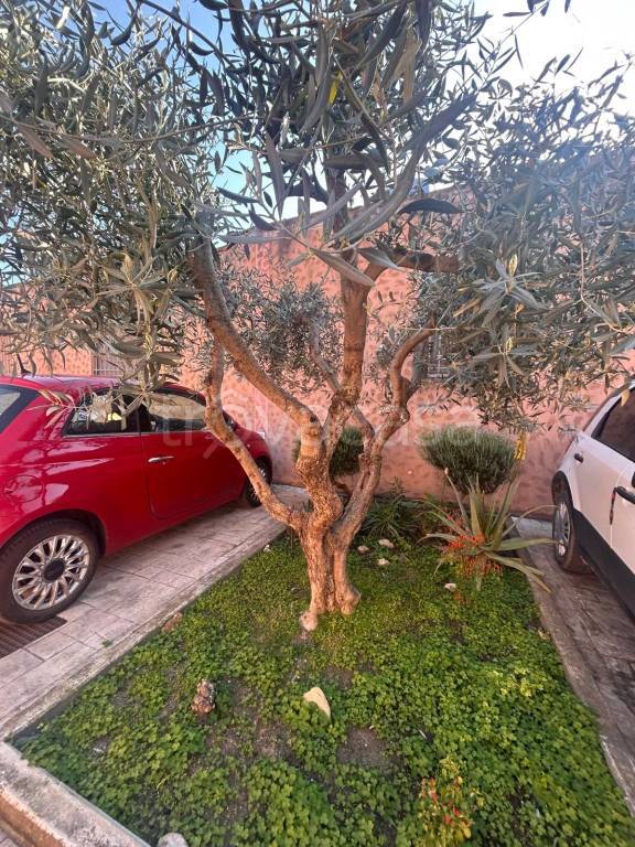 immagine annuncio 6 di 7