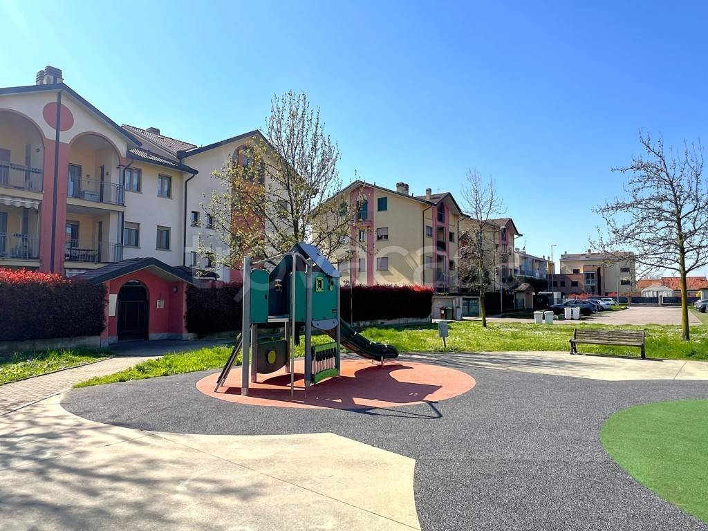 immagine annuncio 3 di 15